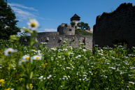 Zväčšiť fotografiu - Na trenčianskom hrade prebieha jarné upratovanie - 20180605_TN_Juzne_opevnenie_foto_Radovan_Stoklasa_062w