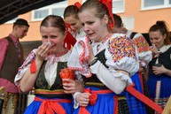 Zväčšiť fotografiu - Pravá fašiangová zábava sa niesla celým trenčianskym krajom - DSC_8713