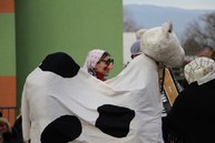 Zväčšiť fotografiu - Pravá fašiangová zábava sa niesla celým trenčianskym krajom - IMG_7206
