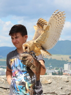 Zväčšiť fotografiu - Preneste sa cez víkend do dôb matúša čáka - hrad_6