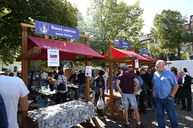 Zväčšiť fotografiu - Púchovský jarmok spojil tradície a pomoc - DSC_8079