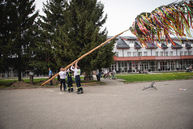 Zväčšiť fotografiu - Rastú ako huby po daždi! - TSK_Máje 2022-22