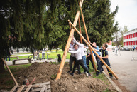 Zväčšiť fotografiu - Rastú ako huby po daždi! - TSK_Máje 2022-25