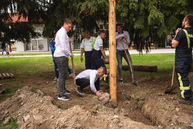 Zväčšiť fotografiu - Rastú ako huby po daždi! - TSK_máje 22 doplnok-1