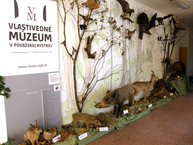 Rekordnej návštevnosti za prvý polrok 2018 sa tešil nielen trenčiansky hrad, ale aj ďalšie expozície župných múzeí - P6220260
