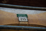 Zväčšiť fotografiu - V čachticiach pribudne ďalšia atraktívna turistická možnosť - TSK_KD máj_mini (219 of 232)