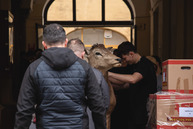 Zväčšiť fotografiu - Veľké sťahovanie trenčianskeho múzea - TSK_TN múzeum sťahovanie_mini-16