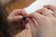 Viac ako 50 detí strávilo jarné prázdniny tvorivo v priestoroch vlastivedného múzea v považskej bystrici - IMG_1180 (640x427)