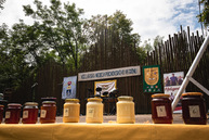 Zväčšiť fotografiu - Víkendové podujatia prilákali tisíce ľudí - TSK_nedela_08_22_mini (34 of 83)