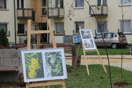 Ľuďom pomôže vytvoriť pocit domova tam, kde žijú. vresovcová záhrada v prievidzi podporená grantom zelené oči. - IMG_1354