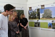 Zväčšiť fotografiu - Bošácka hruška bojuje o titul európsky strom roka - TSK Strom roka 2024_8