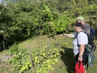 Zväčšiť fotografiu - Kraj aktívne podporuje vznik prírodných záhrad
