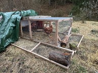 Zväčšiť fotografiu - Kraj si upevňuje svoju pozíciu lídra v certifikácii prírodných záhrad - thumbnail_IMG_6986