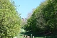 Zväčšiť fotografiu - Na mieste starej oskoruše vyrástla rozhľadňa