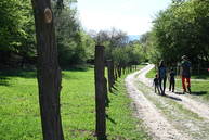 Zväčšiť fotografiu - Na mieste starej oskoruše vyrástla rozhľadňa