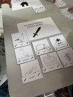 Zväčšiť fotografiu - Projekt zelenej župy je ukážkovým príkladom dobrej praxe - moravske lieskove3