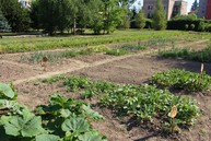 Takmer polovica predložených enviroprojektov v rámci grantového systému zelené oči sa dočká realizácie - IMG_1660