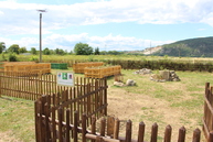 Takmer polovica predložených enviroprojektov v rámci grantového systému zelené oči sa dočká realizácie - IMG_2054