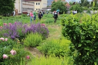 Zväčšiť fotografiu - Trenčianska župa partnerom projektu na zlepšenie kvality ovzdušia - prirodne_zahrady