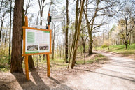 Zväčšiť fotografiu - Trenčiansky hrad ponúka nové výhľady i novosprístupnené zákutia - TSK_TN hrad_trebuchet_web (1)