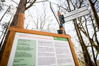 Zväčšiť fotografiu - Trenčiansky hrad ponúka nové výhľady i novosprístupnené zákutia - TSK_TN hrad_trebuchet_web (2)