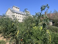 Zväčšiť fotografiu - V trenčianskom kraji nájdete už 47 certifikovaných prírodných záhrad