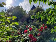 Zväčšiť fotografiu - V trenčianskom kraji nájdete už 47 certifikovaných prírodných záhrad