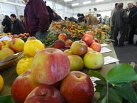 Zdravý životný štýl na výstavisku expo center - DSC02964