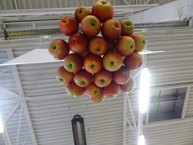 Zdravý životný štýl na výstavisku expo center - DSC02967