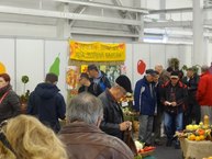 Zdravý životný štýl na výstavisku expo center - DSC02976