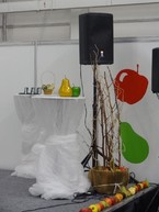 Zdravý životný štýl na výstavisku expo center - DSC03008