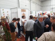 Zdravý životný štýl na výstavisku expo center - DSC03067