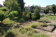 Zväčšiť fotografiu - Zelené oči po novom - IMG_1692