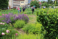 Zväčšiť fotografiu - Žiadať o grant na enviroprojekty je možné už aj on-line - 22
