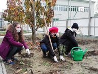 Zväčšiť fotografiu - Žiadať o grant na enviroprojekty je možné už aj on-line - zdroj www.gymnazium-pu.sk
