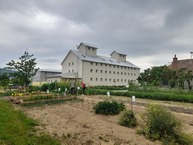 Zväčšiť fotografiu - Zmeňte šedé zóny vo vašom okolí na zelené plochy - 20230526_115413