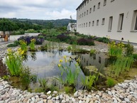 Zväčšiť fotografiu - Zmeňte šedé zóny vo vašom okolí na zelené plochy - 20230526_121923