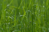 Zväčšiť fotografiu - Župa čaká na ďalšie originálne enviroprojekty! - vyzva1