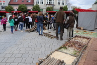Zväčšiť fotografiu - Župné environmentálne aktivity súčasťou lesníckeho dňa po druhýkrát - IMG_6242
