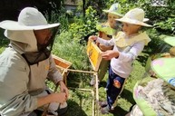 Zväčšiť fotografiu - Župy zdieľali moderný prístup k envirovýchove