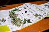 Zväčšiť fotografiu - Župy zdieľali moderný prístup k envirovýchove