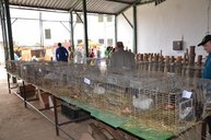 65. výročie soš pruské - E3