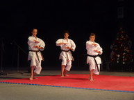 95. narodeniny trenčianskeho gymnázia ľ. štúra - 8_resize