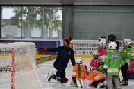 Zväčšiť fotografiu - 