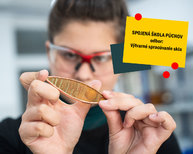 Zväčšiť fotografiu - Budúci stredoškoláci, pozor, vypĺňate len jednu prihlášku! - SŠ PU_sklári-01