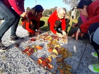 Zväčšiť fotografiu - Kraj dáva učiteľom do rúk inšpiračku pre environmentálnu výchovu