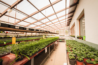 Zväčšiť fotografiu - Kraj dáva učiteľom do rúk inšpiračku pre environmentálnu výchovu