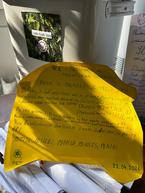 Zväčšiť fotografiu - Na deň zeme poslala škola odkaz do budúcnosti