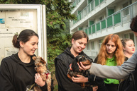 Zväčšiť fotografiu - Národná kultúrna pamiatka sa mení na modernú školu - TSK_SOŠ Pruské_strecha_intrák_mini-2