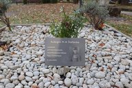 Zväčšiť fotografiu - Novomestské gymnázium je už 50 rokov pridruženou školou unesco - IMG_3391